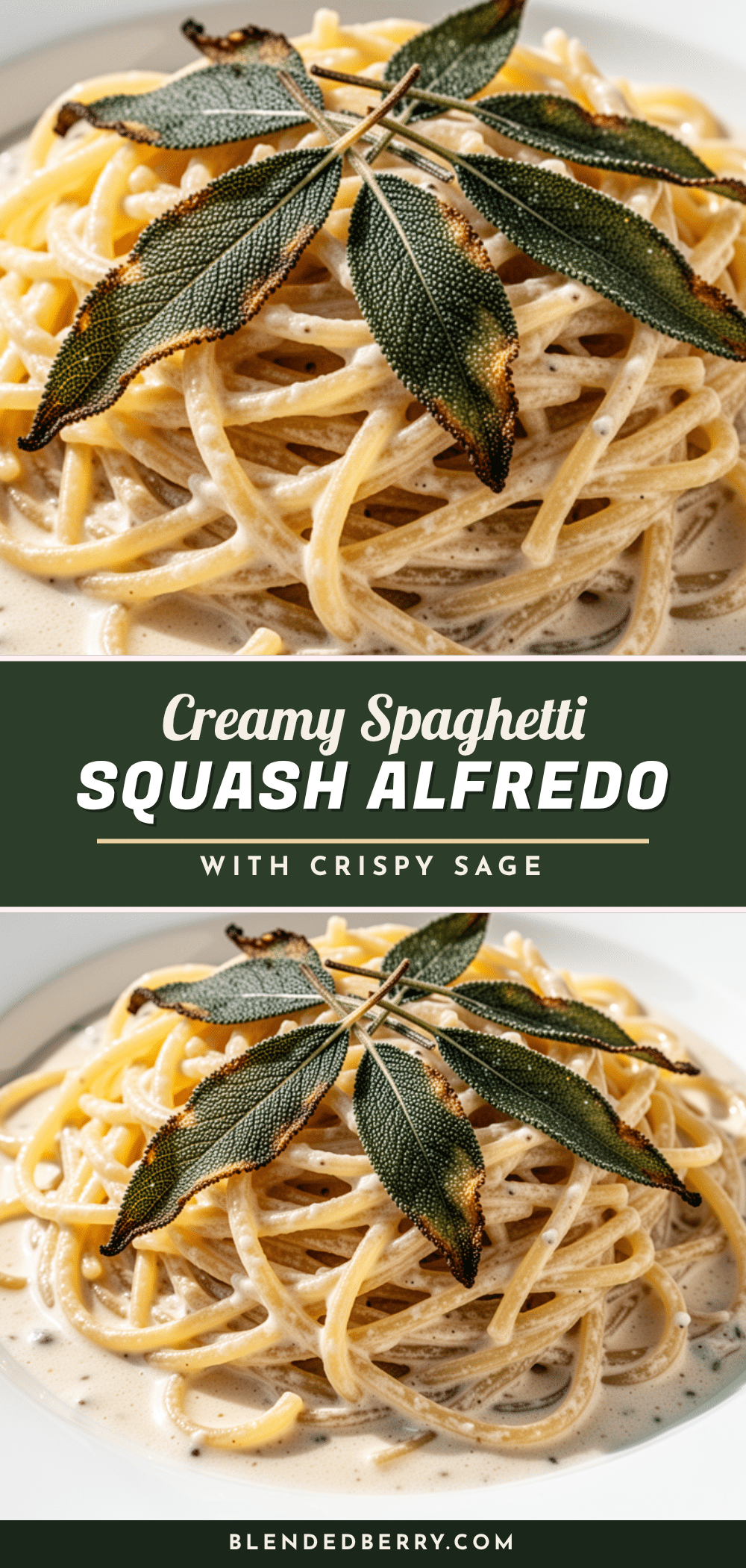 creamy spaghetti squash alfredo recipe