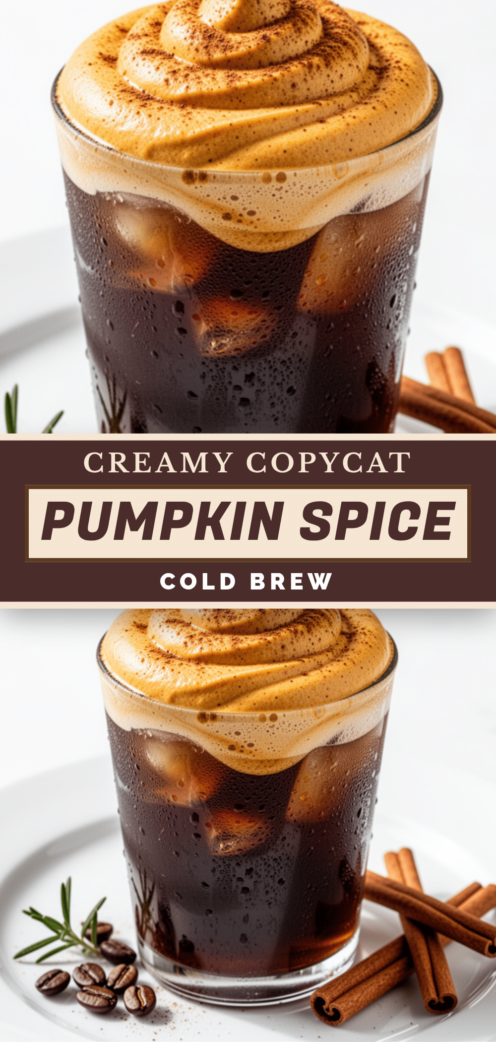 pumpkin spice cold brew concentrate recipe
